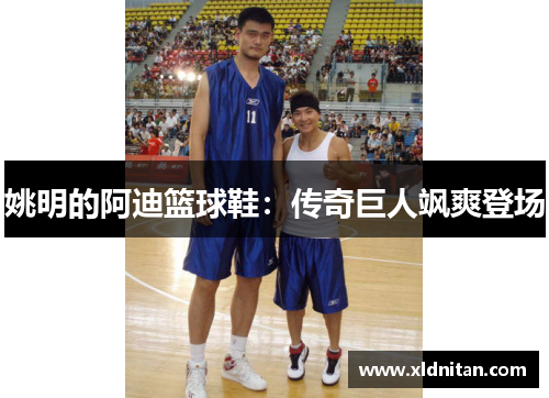 姚明的阿迪篮球鞋：传奇巨人飒爽登场