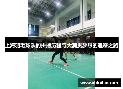 上海羽毛球队的拼搏历程与大满贯梦想的追逐之路