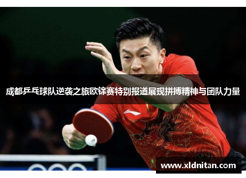 成都乒乓球队逆袭之旅欧锦赛特别报道展现拼搏精神与团队力量