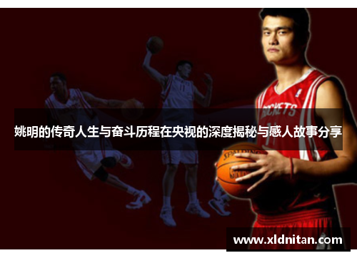 姚明的传奇人生与奋斗历程在央视的深度揭秘与感人故事分享