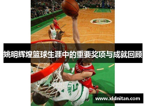 姚明辉煌篮球生涯中的重要奖项与成就回顾