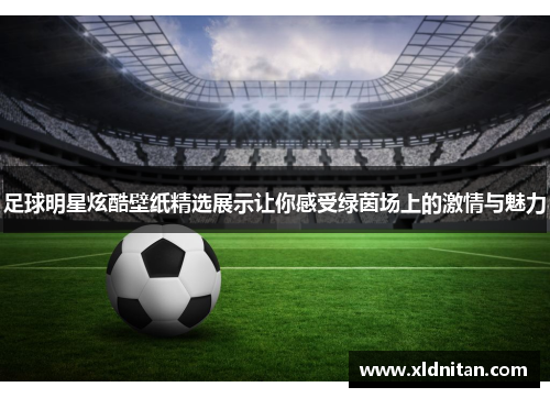 足球明星炫酷壁纸精选展示让你感受绿茵场上的激情与魅力