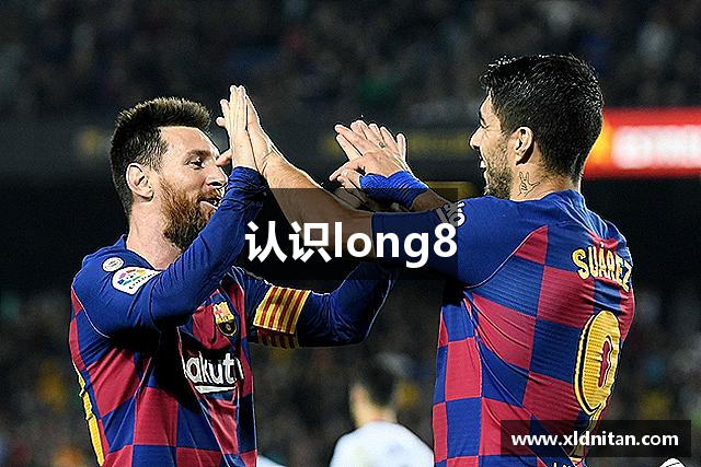 认识long8